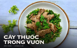 Thứ rau hè nào cũng có, được ví là thần dược trị mất ngủ, ai bị thức trắng vào đêm hè oi nóng hãy tận dụng ngay!