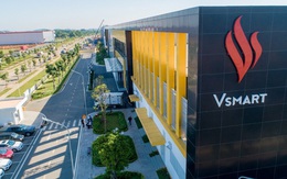 Vinsmart sắp mua 71% cổ phần tại một công ty khai thác quặng từ VinFast