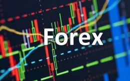 Bài học quản lý Forex nhìn từ thế giới