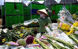 Hàng vạn cành hoa Đà Lạt không xuất khẩu được phải đổ bỏ, Bộ Nông nghiệp nói gì?