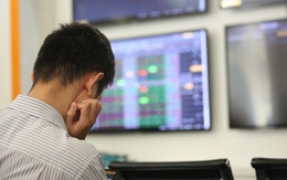 Nhà đầu tư “bấn loạn” trong vòng xoáy cắt lỗ-bắt đáy, hưng phấn khi thị trường hồi phục