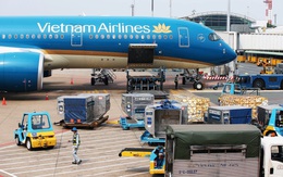 Là phân khúc màu mỡ, vì sao các hãng bay Việt mất 90% thị phần vận tải hàng hóa quốc tế vào tay doanh nghiệp ngoại?