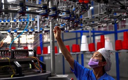 Tăng trưởng GDP Việt Nam nửa đầu năm đạt 5,64%, chuyên gia quốc tế nói gì?