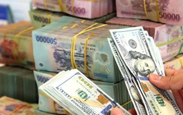 Bộ Tài chính Mỹ và Ngân hàng Nhà nước Việt Nam đạt được tuyên bố chung