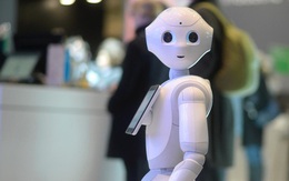 Từng lấy hàng loạt công việc của con người, giờ đây robot này liên tục bị sa thải vì khách hàng cần... con người