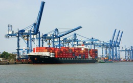 Nguyên do tắc cảng nghiêm trọng khu vực phía Nam: Covid-19, chủ hàng chờ giảm giá hay tắc nghẽn từ Singapore và Trung Quốc?
