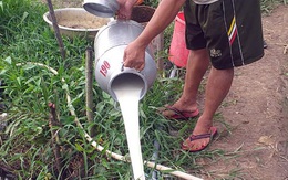 Doanh nghiệp đồ uống, sữa, nước giải khát ‘kêu cứu’ vì không phải hàng thiết yếu