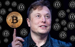 Đây là lý do tại quyết định nắm giữ Bitcoin trong dài hạn của Elon Musk là khoản đầu tư hiệu quả