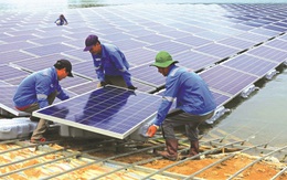 Bình Định có 5 dự án điện mặt trời nối lưới được phê duyệt, với tổng công suất 529,5 MWp
