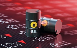 Giá dầu lao dốc sau khi OPEC hủy cuộc họp