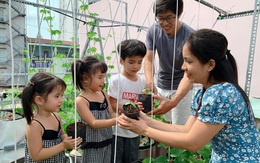 Khu vườn xanh tươi trên mái nhà và bí quyết đáng học hỏi của mẹ 3 con ở Sài Gòn