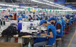 Việt Nam cần hệ thống như 'đường ống' để hút lao động đến các doanh nghiệp sản xuất