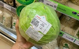 Thực hư siêu thị bán bắp cải 250.000 đồng/kg trong mùa dịch