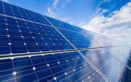 Licogi 13 chuyển nhượng dự án điện mặt trời cho Dragon Capital