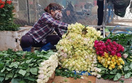 Hơn 100 triệu cành hoa, hàng trăm tấn rau củ ở Lâm Đồng cần hỗ trợ tiêu thụ