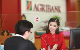 Agribank dự kiến tuyển thêm 600 nhân sự trong năm nay, sẽ tăng thu nhập cho CBNV