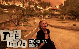 Cháy rừng càn quét cả đất nước: Người Hy Lạp tuyệt vọng chống cự thảm họa "chưa từng có trong lịch sử"