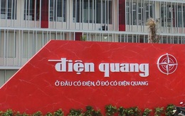 Điện Quang (DQC): Hợp tác chiến lược với Schréder, dự kiến thu về 10% doanh số chiếu sáng cao cấp trong năm đầu tiên thực hiện