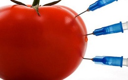 Nhận biết thực phẩm biến đổi gen qua các dấu hiệu nào?