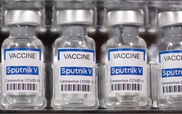 Từ việc Vimedimex trần 9 phiên sau tin nhập vaccine: Chân dung bộ tứ thống lĩnh mảng nhập khẩu thuốc với tổng doanh thu 3 tỷ USD nhưng lãi rất thấp
