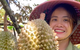 Bỏ Sài Gòn về quê làm vườn, cô nàng gây sốt với loạt clip viral: Sầu riêng, bơ trĩu quả, xem mà không thể kìm lòng!