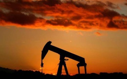 Giá dầu lao dốc trong chuỗi ngày giảm giá dài nhất 18 tháng