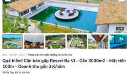 Xuất hiện tình trạng rao bán cắt lỗ trang trại, khu nghỉ dưỡng: Có resort hạ giá gần 20 tỷ