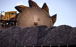 Giá than từ Châu Á đếu Châu Phi đều cao kỷ lục