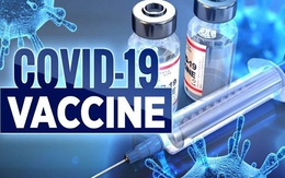 Thủ tướng đề nghị WHO ưu tiên cung cấp vaccine cho Việt Nam