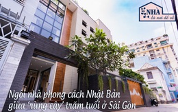 Ngôi nhà phong cách Nhật Bản giữa khuôn viên cây xanh trăm tuổi ở TP HCM: Hoàn thiện mất 2 năm, chi phí xây dựng gần 18 tỷ đồng, nhìn thành quả ai cũng ngưỡng mộ