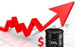 Nhập khẩu xăng dầu của Việt Nam tăng gần 10% trong tháng 7