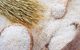 Xuất khẩu gạo Châu Á có tín hiệu hồi phục