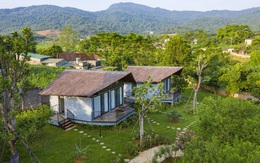 Đầu tư farmstay: Cuộc chơi của “đại gia” tiền tỷ