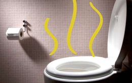 Khi đi vệ sinh, nếu cơ thể có 4 biểu hiện bất thường thì nên cẩn thận với nguy cơ ung thư gan rình rập