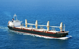 Một doanh nghiệp dịch vụ biển sắp chào sàn Upcom với mức giá tham chiếu 32.000 đồng/cổ phiếu