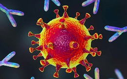 Các nhà khoa học tìm ra loại siêu kháng thể mạnh gấp 1.000 lần, chống lại được mọi biến chủng COVID-19