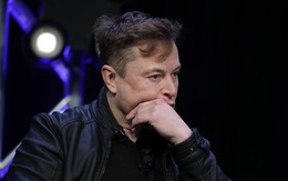 Sự bẽ bàng của Elon Musk: Tesla không được mời tham dự cuộc họp bàn về mục tiêu xe điện ở Nhà Trắng dù là nhà sản xuất xe điện lớn nhất thế giới