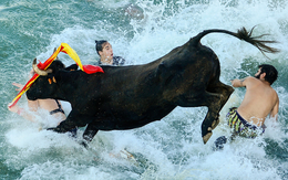 Góc nhìn CTCK: Khoảng trống thông tin hiện hữu, VN-Index rung lắc mạnh tại vùng 1.350 điểm