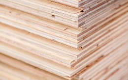 DOC gia hạn ban hành kết luận chống lẩn tránh thuế với gỗ dán từ Việt Nam