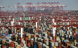 Chiếc container "số nhọ" mắc kẹt ở Thượng Hải hơn 6 tháng và cuộc khủng hoảng đứt gãy đang bao trùm mọi ngóc ngách của chuỗi cung ứng