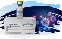 Bộ Y tế phê duyệt khẩn cấp vaccine Hayat-Vax