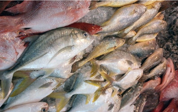 Giá cá tăng sốc làm rung động thị trường thực phẩm Trung Quốc