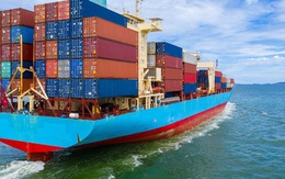Giá cước vận tải biển tăng cao thách thức ngành gỗ, dệt may, cà phê Việt Nam