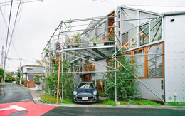 Gia đình ba thế hệ thiết kế ngôi nhà đặc biệt chỉ toàn ánh sáng và cây xanh ở Nhật Bản