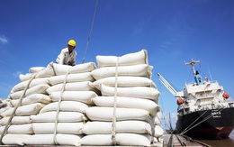 Xuất khẩu gạo sang Philippines, Trung Quốc tăng mạnh