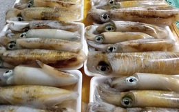 Dịch bệnh vắng khách du lịch, giá nhiều loại hải sản Phú Quốc giảm sâu