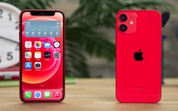iPhone 12 giảm giá sâu, dọn đường cho iPhone 13 sắp lên kệ tại Việt Nam