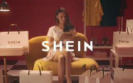 SHEIN: Phốt-chồng-phốt mà vẫn hất cẳng từ Zara đến H&M, vậy ẩn tình là gì?