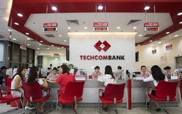 238 người mua được 6 triệu cổ phiếu ESOP của Techcombank với giá 10.000 đồng/cp