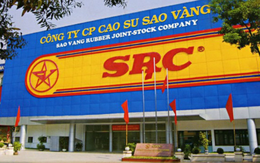 Cao su Sao Vàng (SRC) chốt danh sách cổ đông trả cổ tức bằng tiền